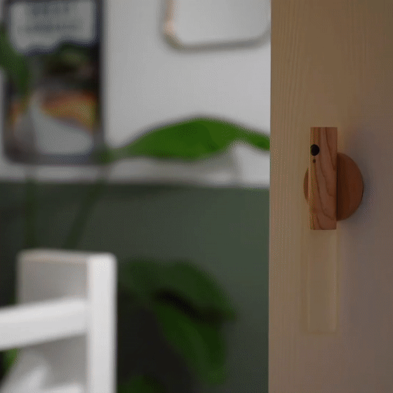 LED Motion Sensor Rechargeable Light